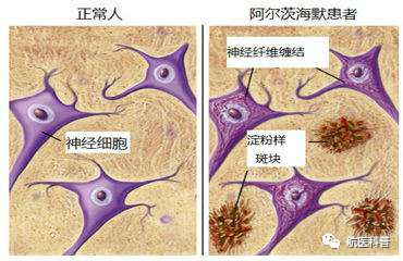 微信圖片_20191122113415.jpg